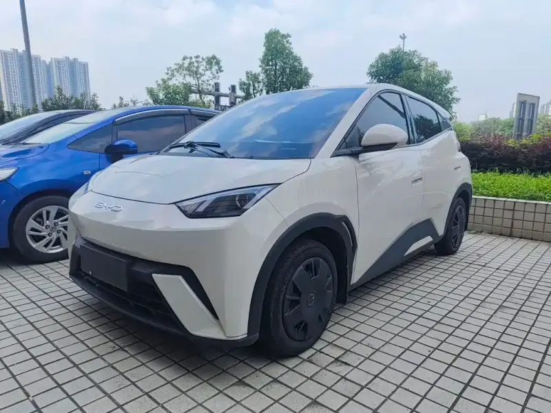 BYD Seagull, 2023