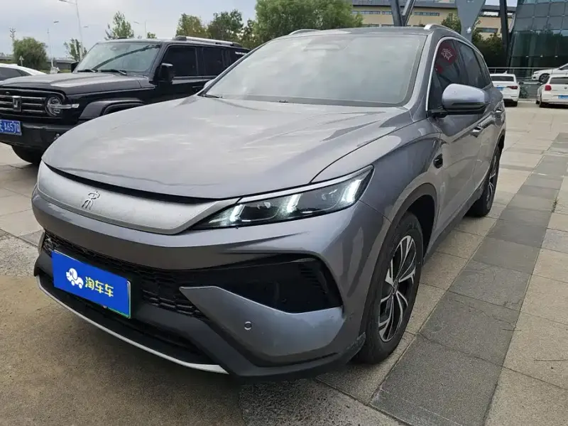 BYD Pro New Energy, 2025