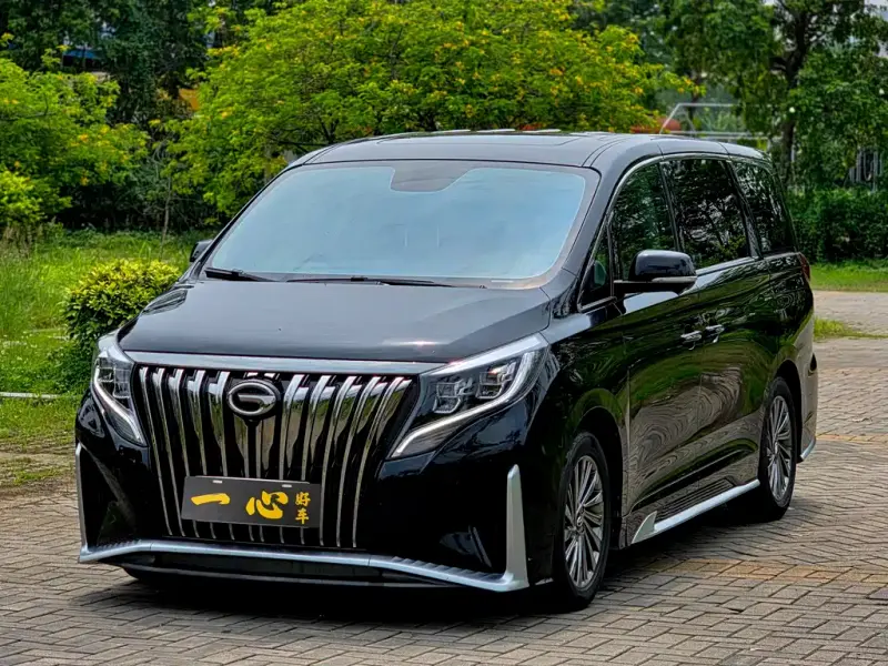 GAC Motor Trumpchi M8, 2021