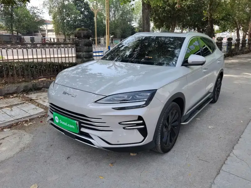 BYD PLUS New Energy, 2024
