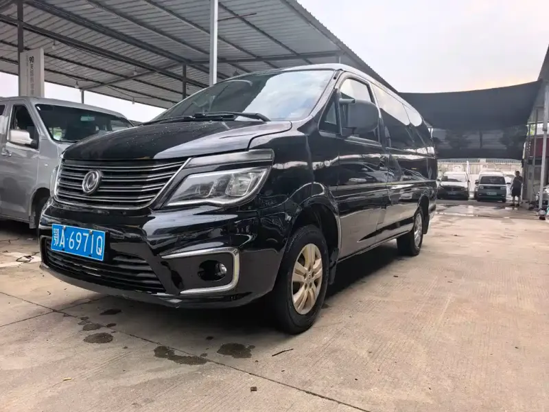 Fengxing Lingzhi, 2019