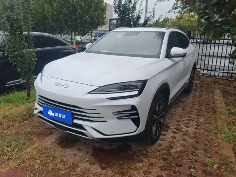 BYD PLUS New Energy, 2025