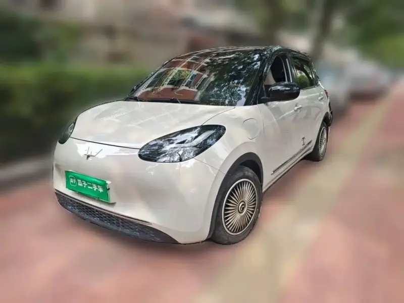 Wuling Bingo, 2024