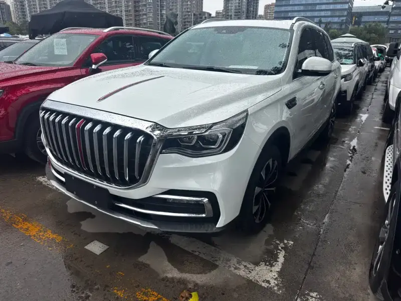 Hongqi HS7, 2020