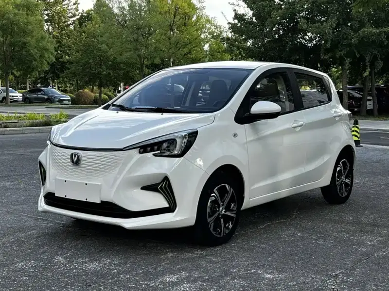 Changan Benben E-Star, 2021