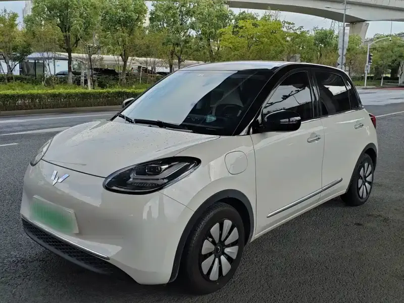 Wuling Bingo, 2025