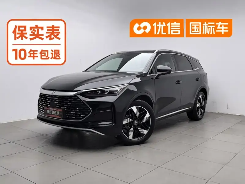 BYD Tang New Energy, 2024