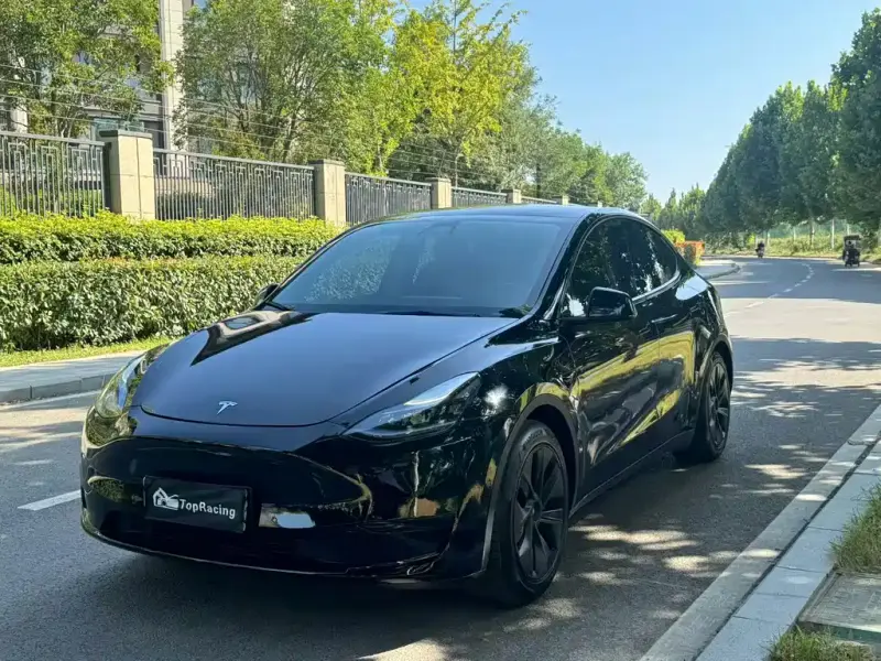 Tesla Model Y, 2022