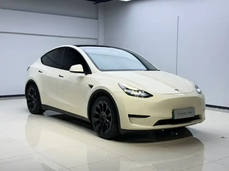Tesla Model Y, 2021