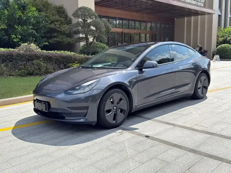 Tesla Model 3, 2021
