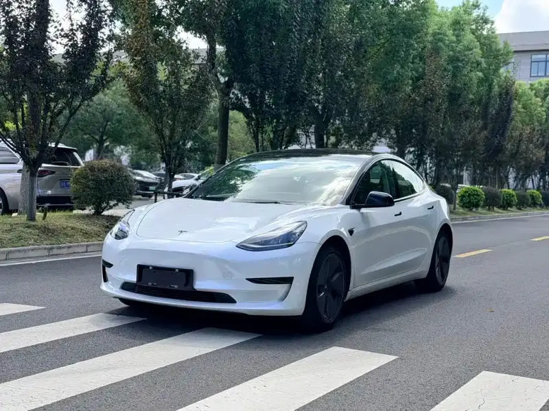 Tesla Model 3, 2021