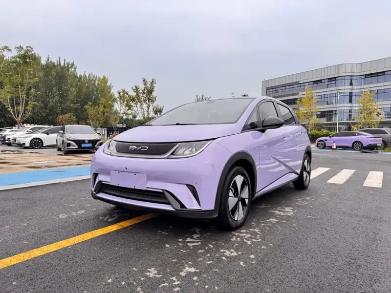 BYD Dolphin, 2023