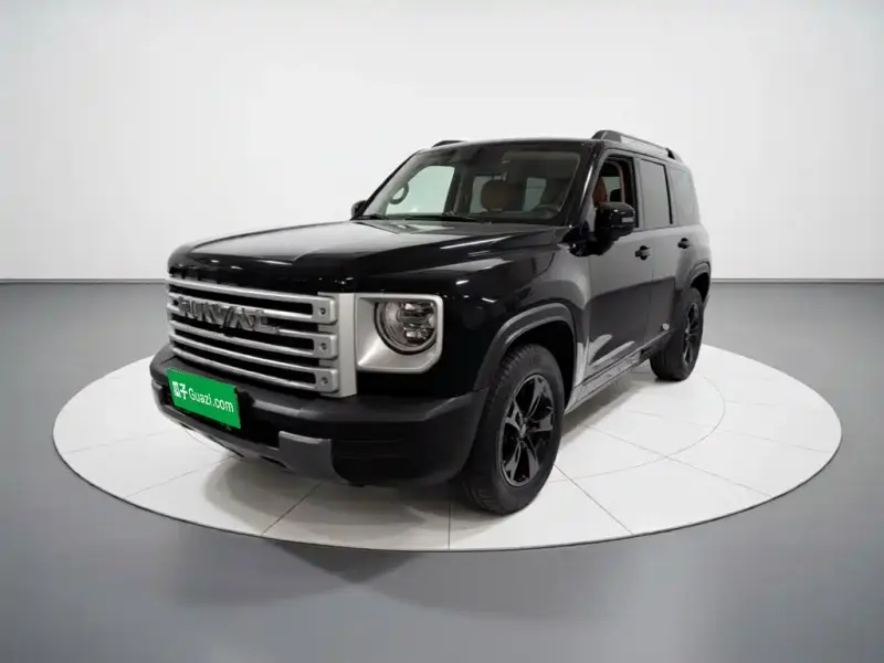 Haval Menglong New Energy, 2024