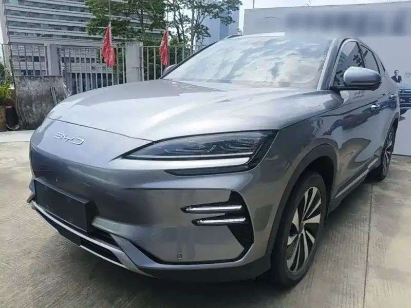 BYD PLUS New Energy, 2024