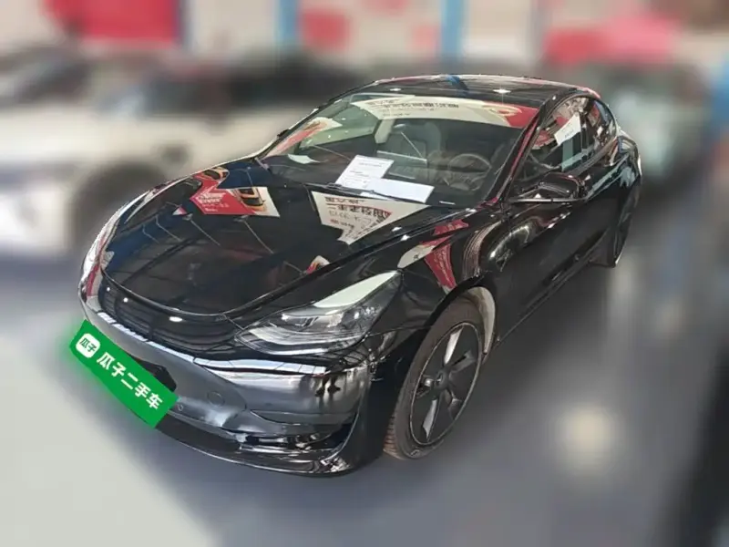 Tesla Model 3, 2021