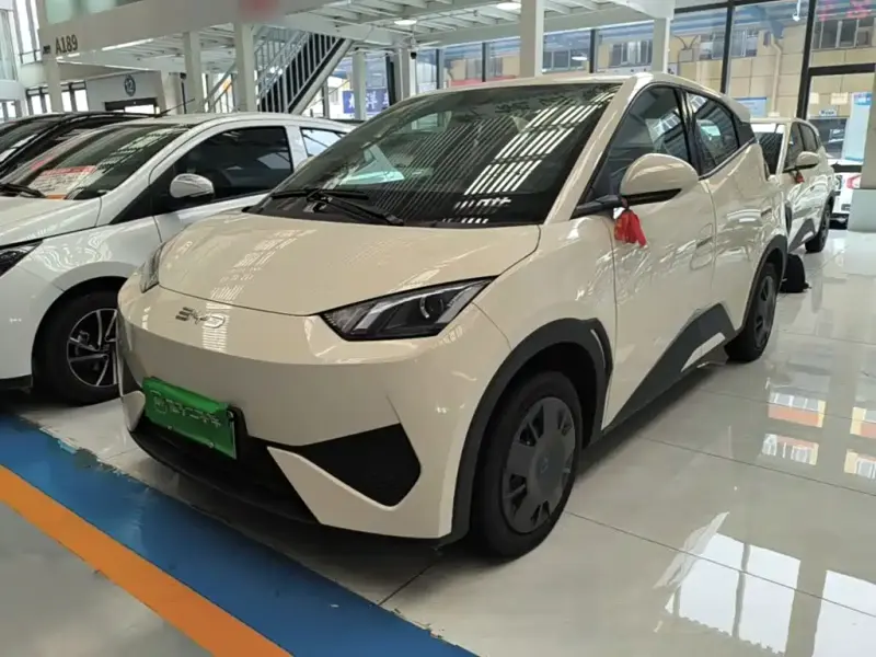 BYD Seagull, 2026