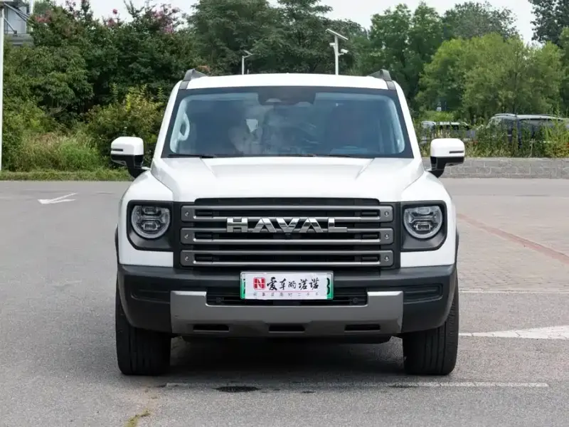 Haval Menglong New Energy, 2024
