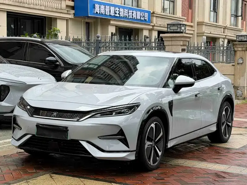 BYD L EV, 2024