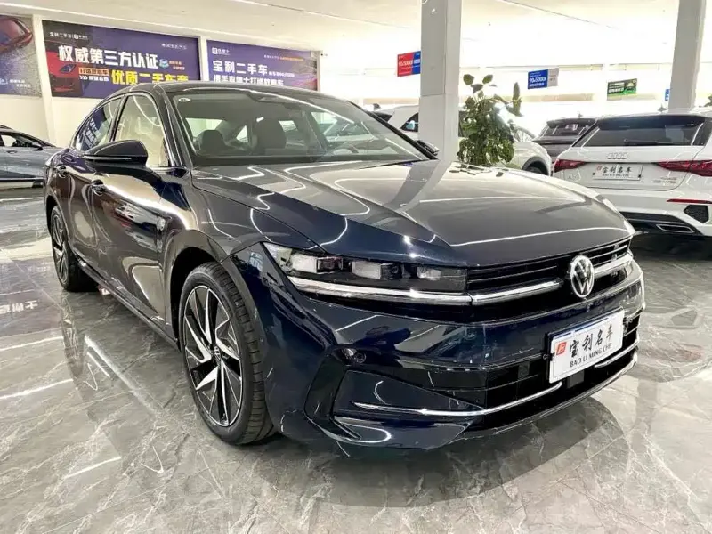 Volkswagen Magotan, 2024