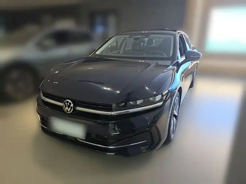 Volkswagen Magotan, 2024