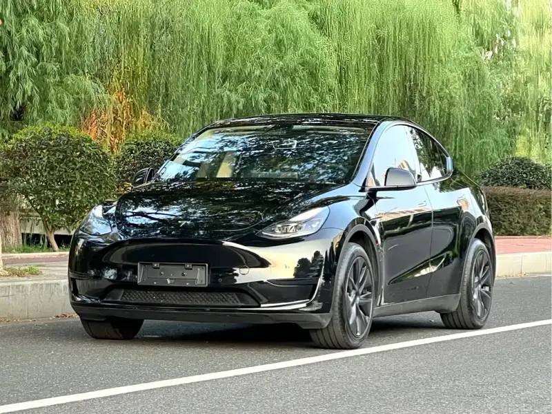 Tesla Model Y, 2024