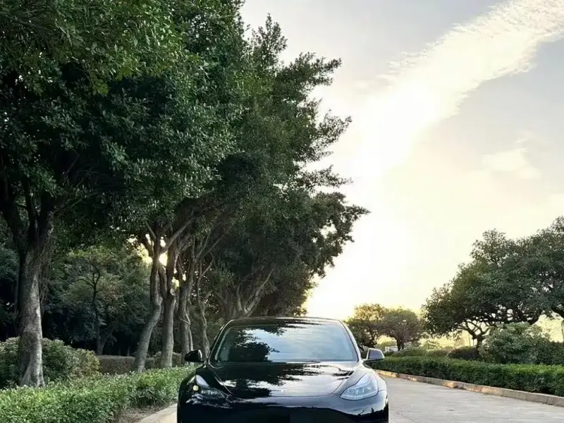 Tesla Model 3, 2023