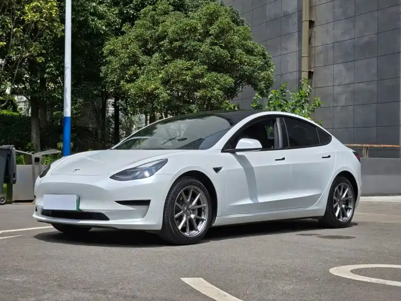 Tesla Model 3, 2022