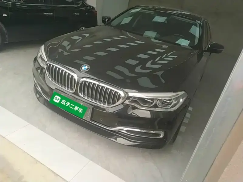 BMW 5 Series BMW 5 Series 2020 530Li Leading Type Luxury Package, 2020 — фото 1