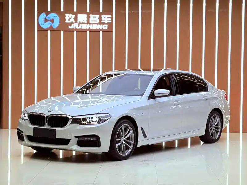 BMW 5 Series BMW 5 Series 2019 525Li M Sport Package, 2019 — фото 1