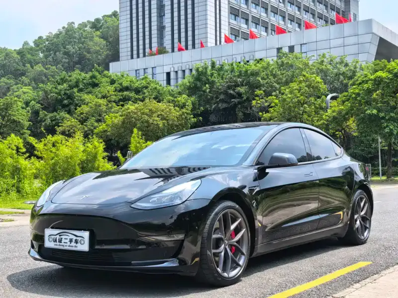 Tesla Model 3 Tesla Model 3 2022 Performance High Performance AWD Edition, 2023 — фото 1