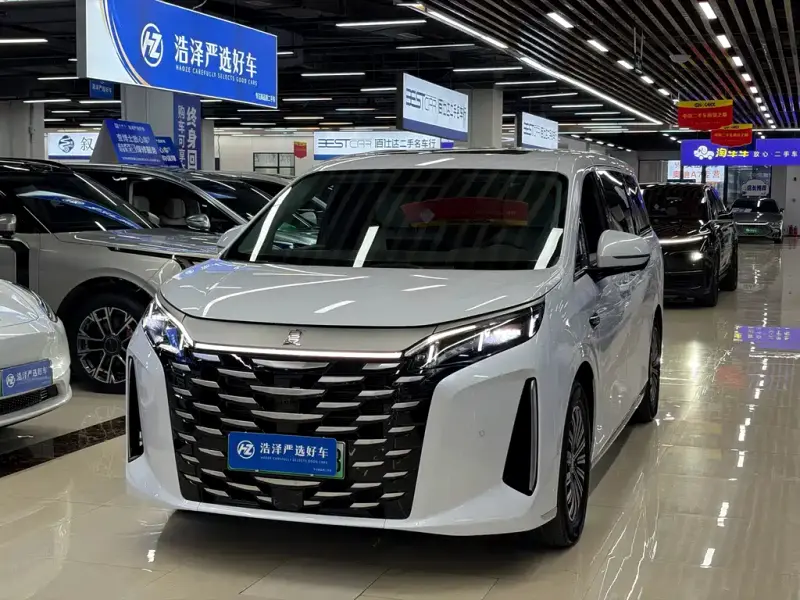 BYD Xia, 2025