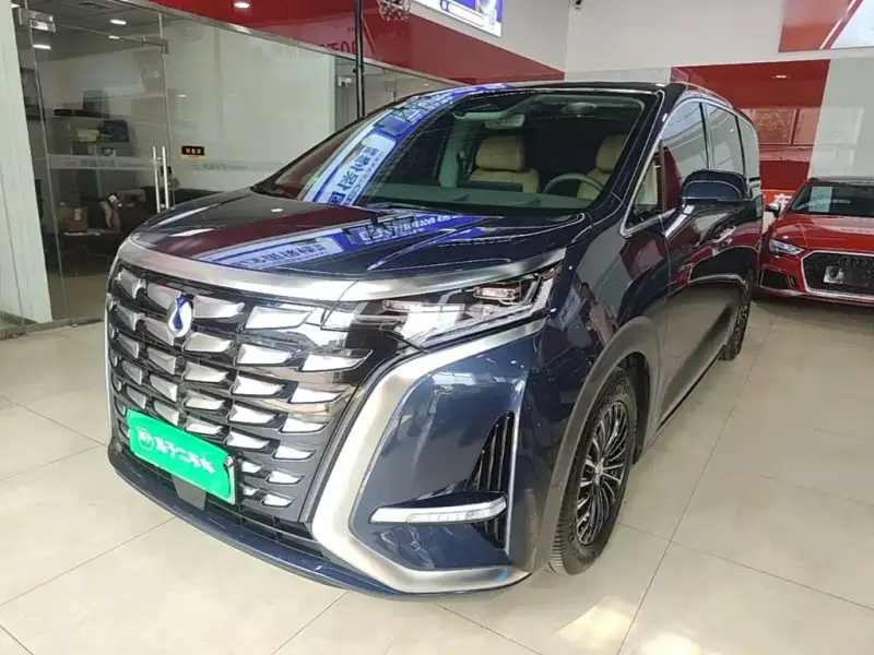 Denza D9, 2023