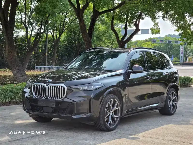BMW X5 BMW X5 2023 xDrive 30Li Premium Type M Sport Night Package, 2024 — фото 1