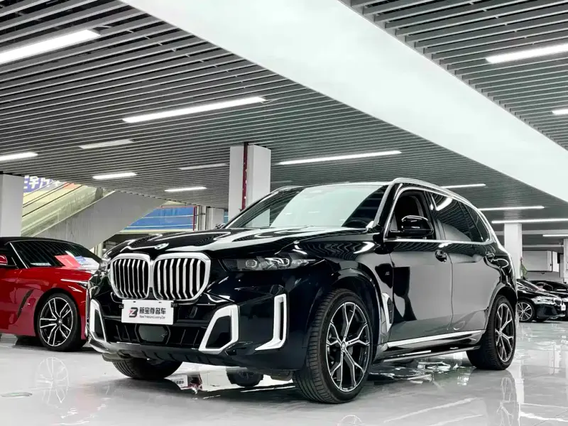 BMW X5 BMW X5 2023 xDrive 30Li Premium Type M Sport Package, 2025 — фото 1