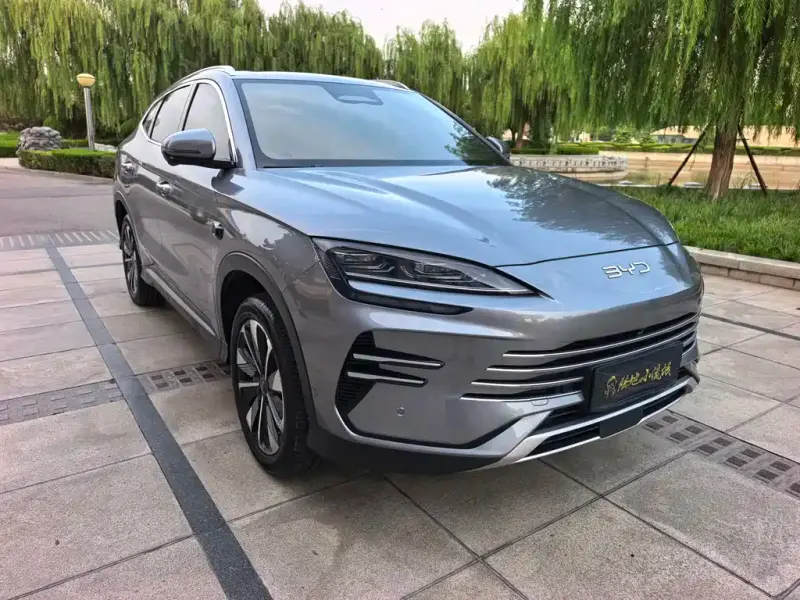 BYD PLUS New Energy, 2025