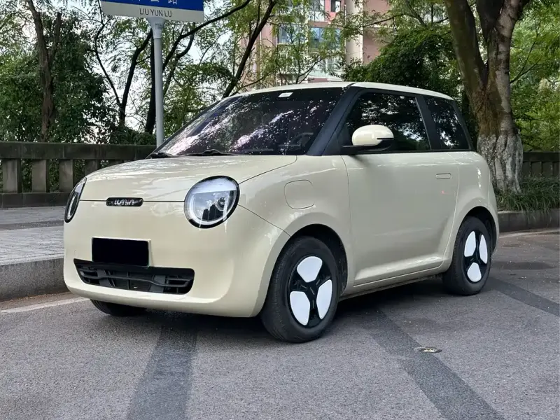 Qiyuan Lumin, 2024