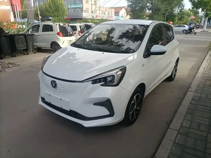 Changan Benben E-Star, 2020