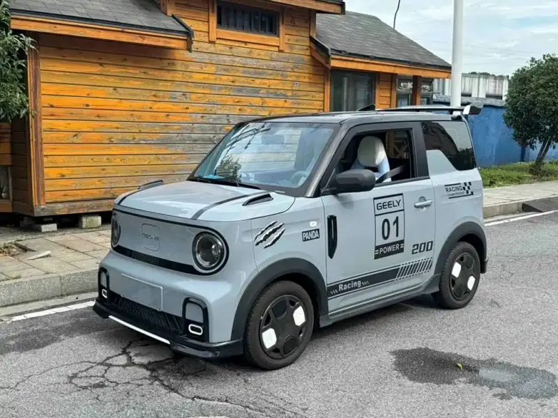 Galaxy Panda, 2025
