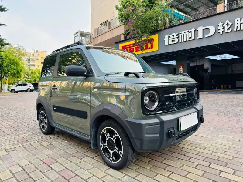 Galaxy Panda, 2024