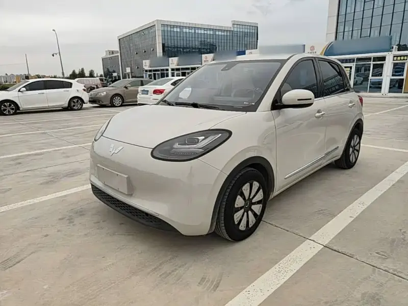 Wuling Bingo, 2024