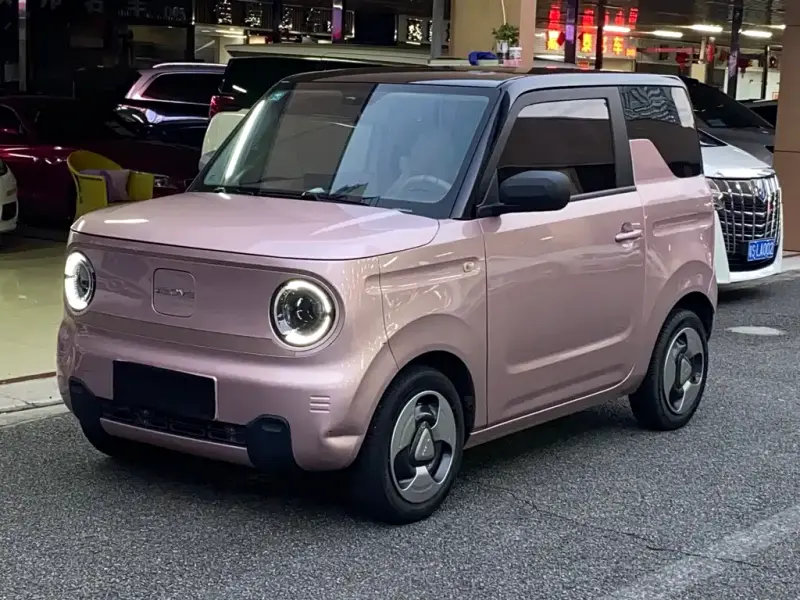 Galaxy Panda BYD Panda 2023 Panda mini 200km Endurance Bear, 2023 — фото 1