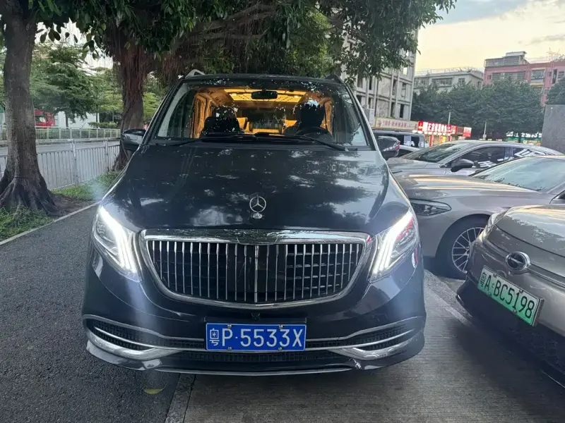 Mercedes-Benz Viano, 2010