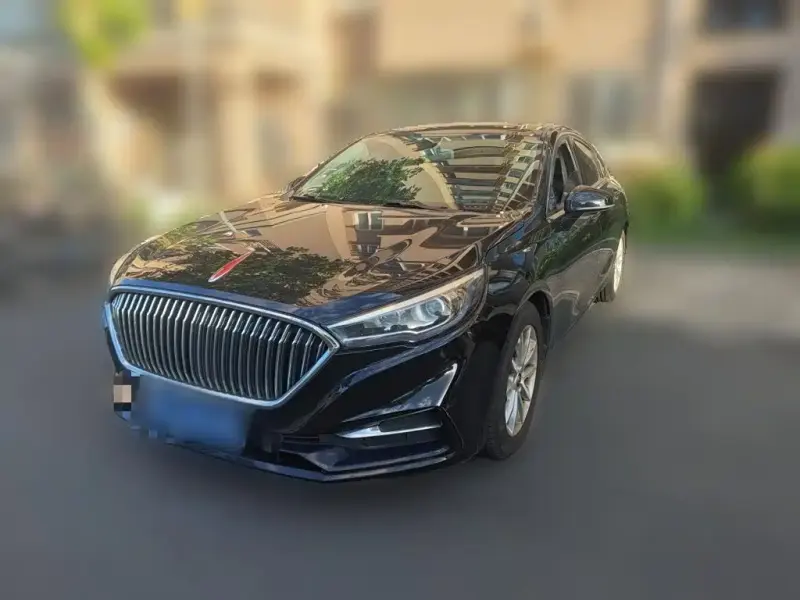 Hongqi H5, 2020