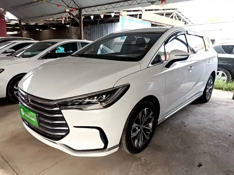 BYD MAX, 2020