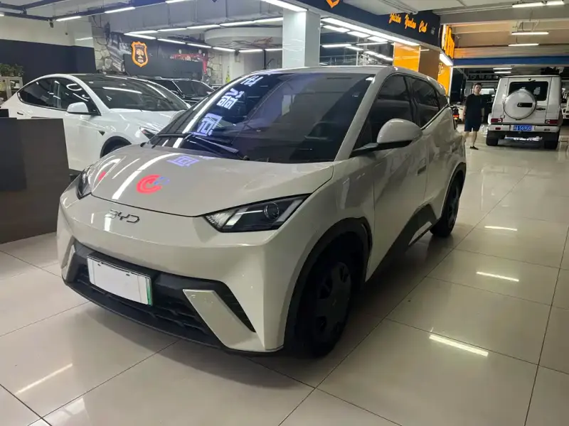 BYD Seagull, 2024