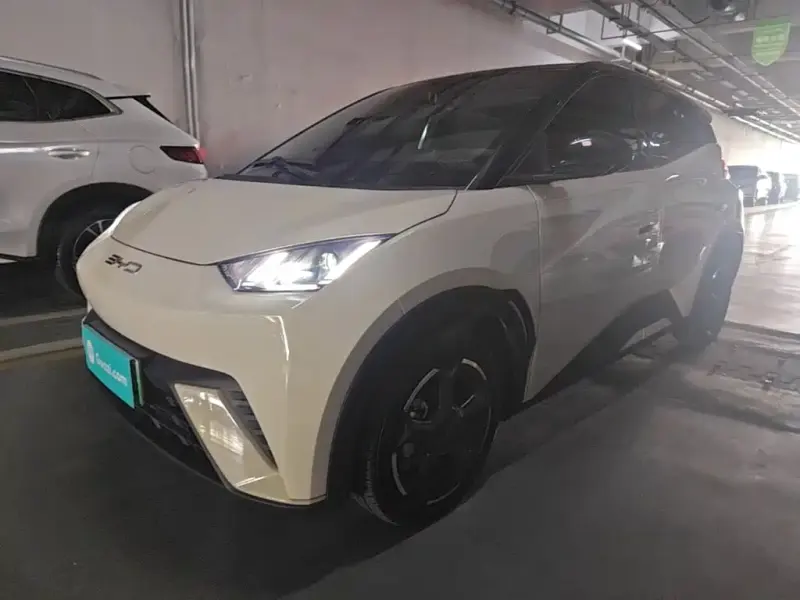 BYD Seagull, 2023