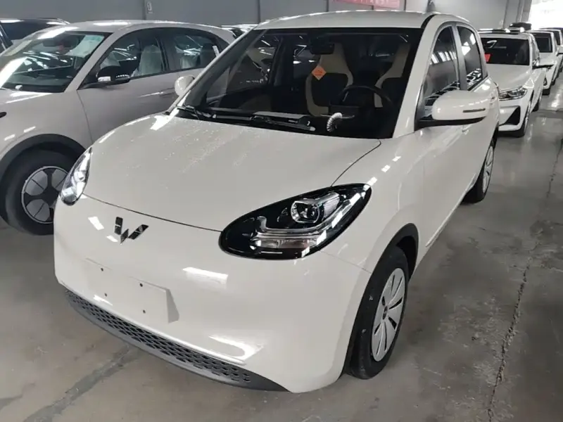 Wuling Bingo, 2023