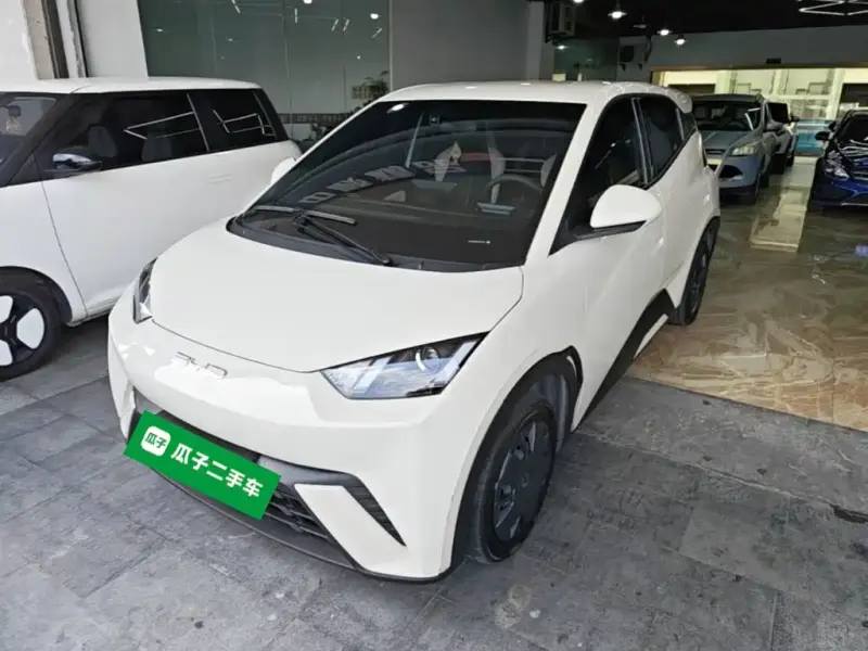 BYD Seagull, 2024