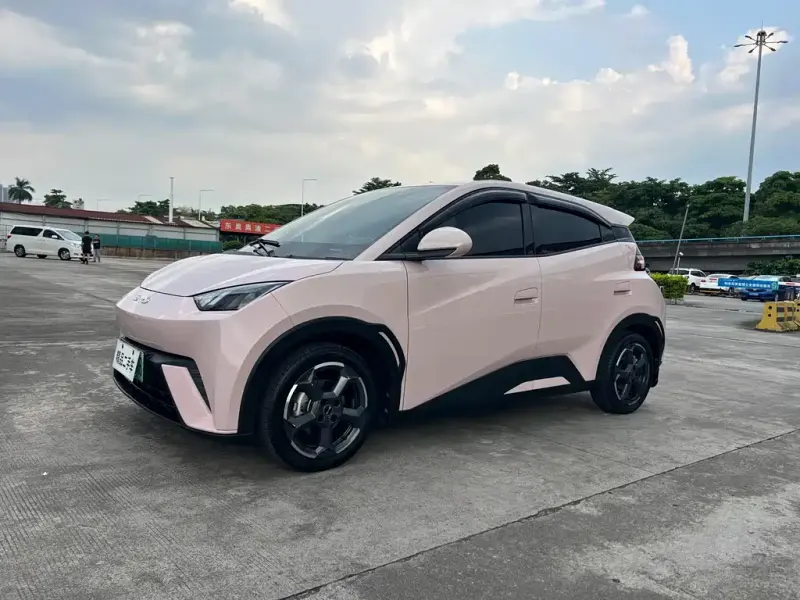 BYD Seagull, 2024