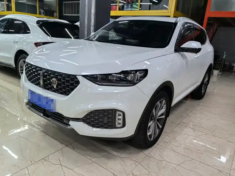 Wey VV6, 2020